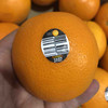 进口皇冠橙，个头超大，晚期脐橙，嫩甜多汁性价比超高的橙子，单果400g左右15只/箱 商品缩略图12