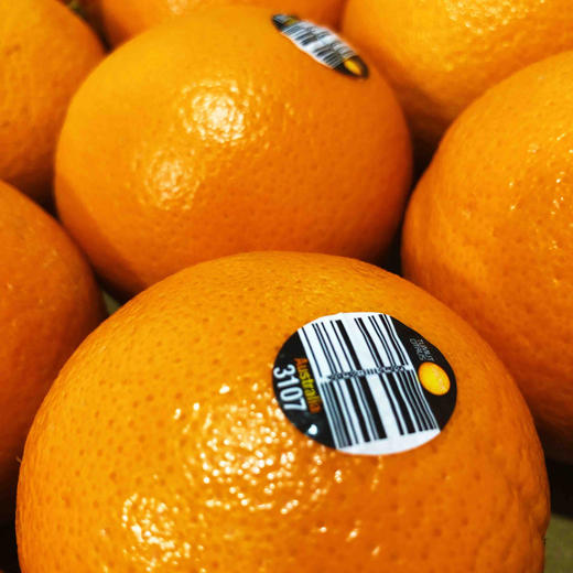 进口皇冠橙，个头超大，晚期脐橙，嫩甜多汁性价比超高的橙子，单果400g左右15只/箱 商品图10