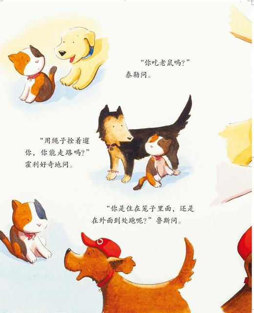 儿童情绪管理与性格培养绘本--班里来了一只猫：学会与人相处的故事 商品图4