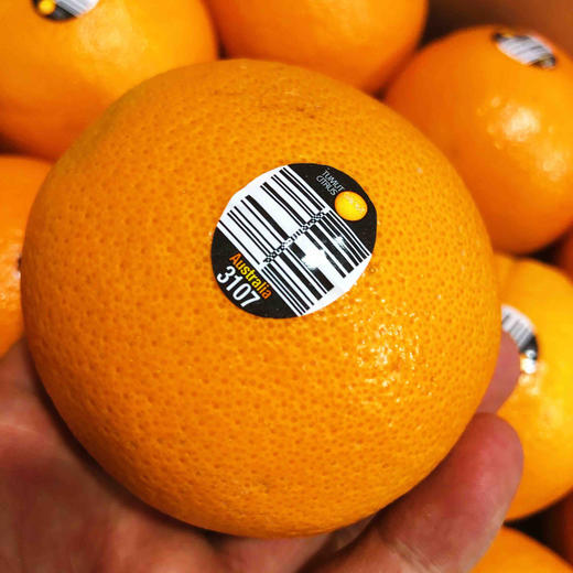 进口皇冠橙，个头超大，晚期脐橙，嫩甜多汁性价比超高的橙子，单果400g左右15只/箱 商品图11