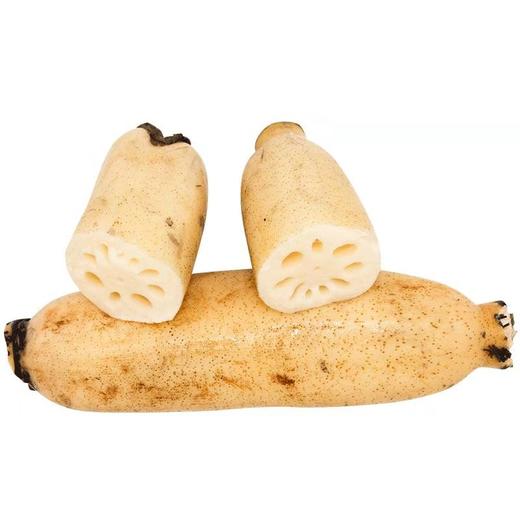 湖北洪湖九孔莲藕人工采挖保留藕节粉糯清香3斤5斤装