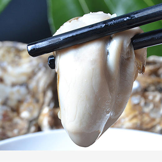 【满150元全疆包邮】生蚝（1.5kg） 商品图1