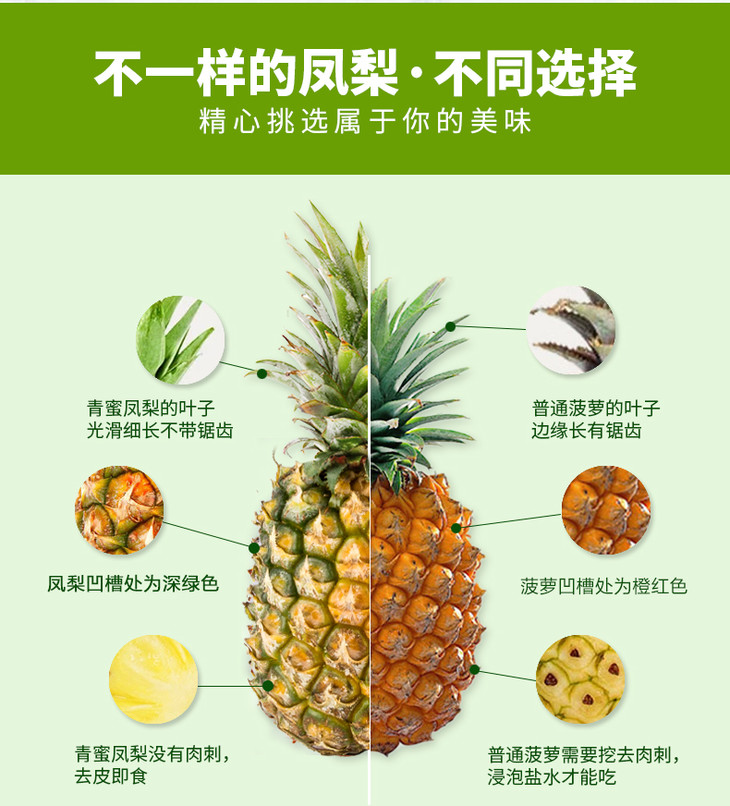海南蜜汁凤梨5斤装丨无需盐泡 酸甜好滋味 青着就能吃的凤梨