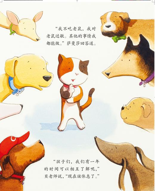 儿童情绪管理与性格培养绘本--班里来了一只猫：学会与人相处的故事 商品图5