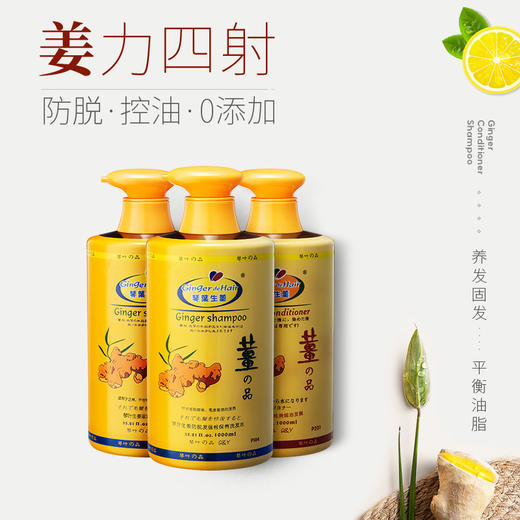 姜力四射——琴叶生姜洗发水 商品图4
