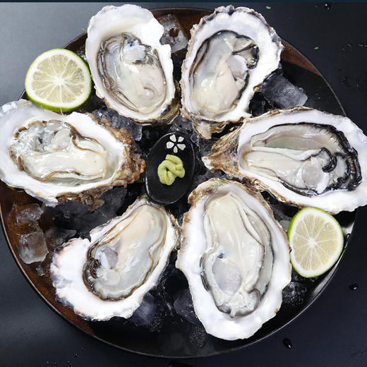 【满120包邮】山东威海乳山生蚝(2.5kg总重,18-22个左右)