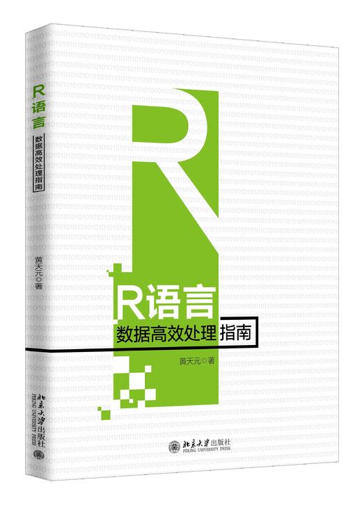 《R语言数据高效处理指南》 商品图0