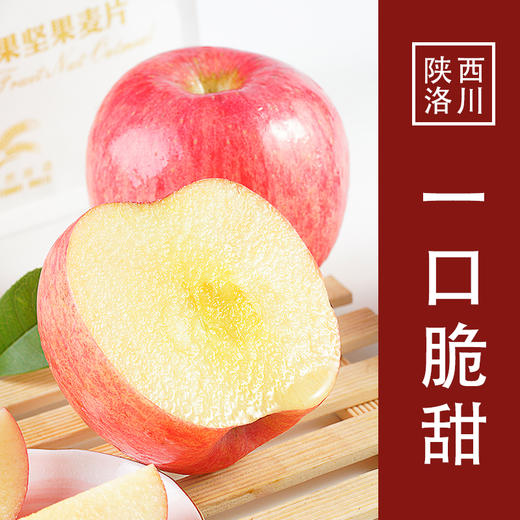 【试吃中果】陕西洛川红富士苹果6枚中果苹果(75mm-80mm) 小巧玲珑 一个刚刚好 商品图7