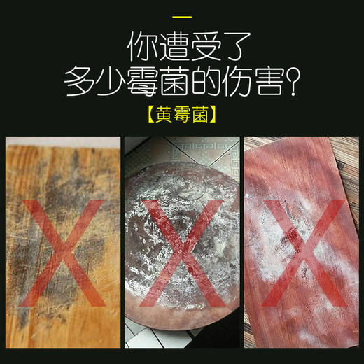 【一块不会发霉的菜板】德国304不锈钢砧板 防霉祛腥 健康易清洗 无刺音不伤刀 商品图2