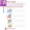 【中商原版】Flash Kids 1年级教辅 Harcourt Family Learning Grade1 商品缩略图4