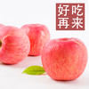 【试吃中果】陕西洛川红富士苹果6枚中果苹果(75mm-80mm) 小巧玲珑 一个刚刚好 商品缩略图1