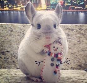 1111111111111111111111111111111111111111