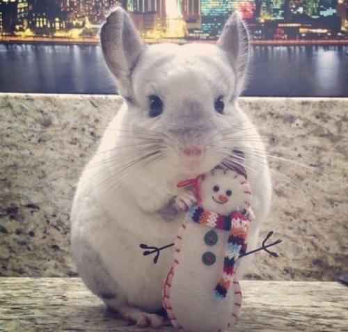 1111111111111111111111111111111111111111 商品图0