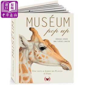 【中商原版】【法文版】博物馆（立体书）法文原版 Museum Pop-up