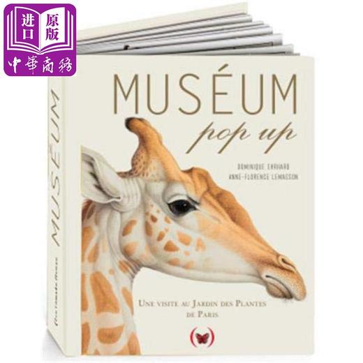 【中商原版】【法文版】博物馆（立体书）法文原版 Museum Pop-up 商品图0