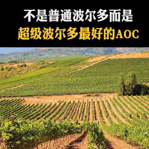 【前木桐酿酒师】法国进口列级酿酒师 超级波尔多红葡萄酒750ml 商品图3