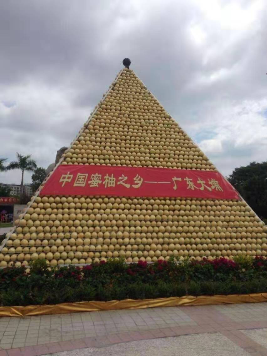 2025年梅州大埔红/白蜜柚 全国邮寄，省外补运费