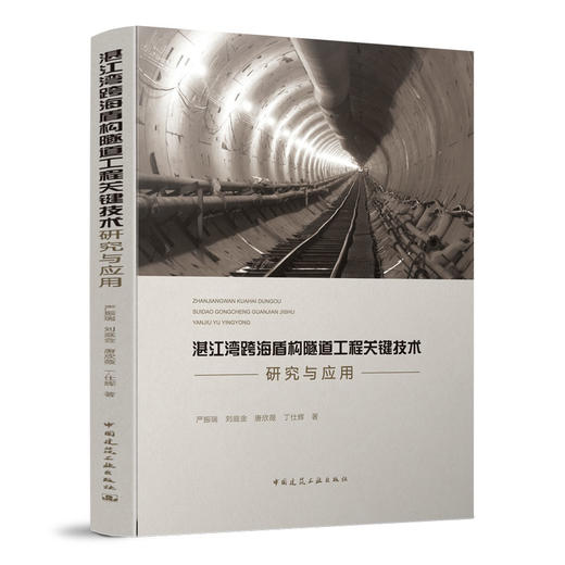 湛江湾跨海盾构隧道工程关键技术研究与应用 商品图0