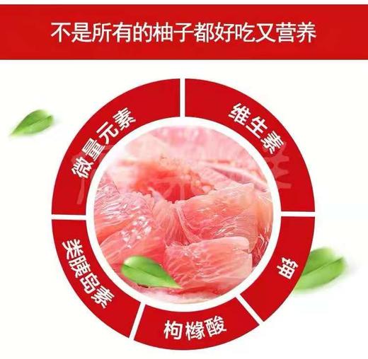 2025年梅州大埔红/白蜜柚 全国邮寄，省外补运费 商品图2