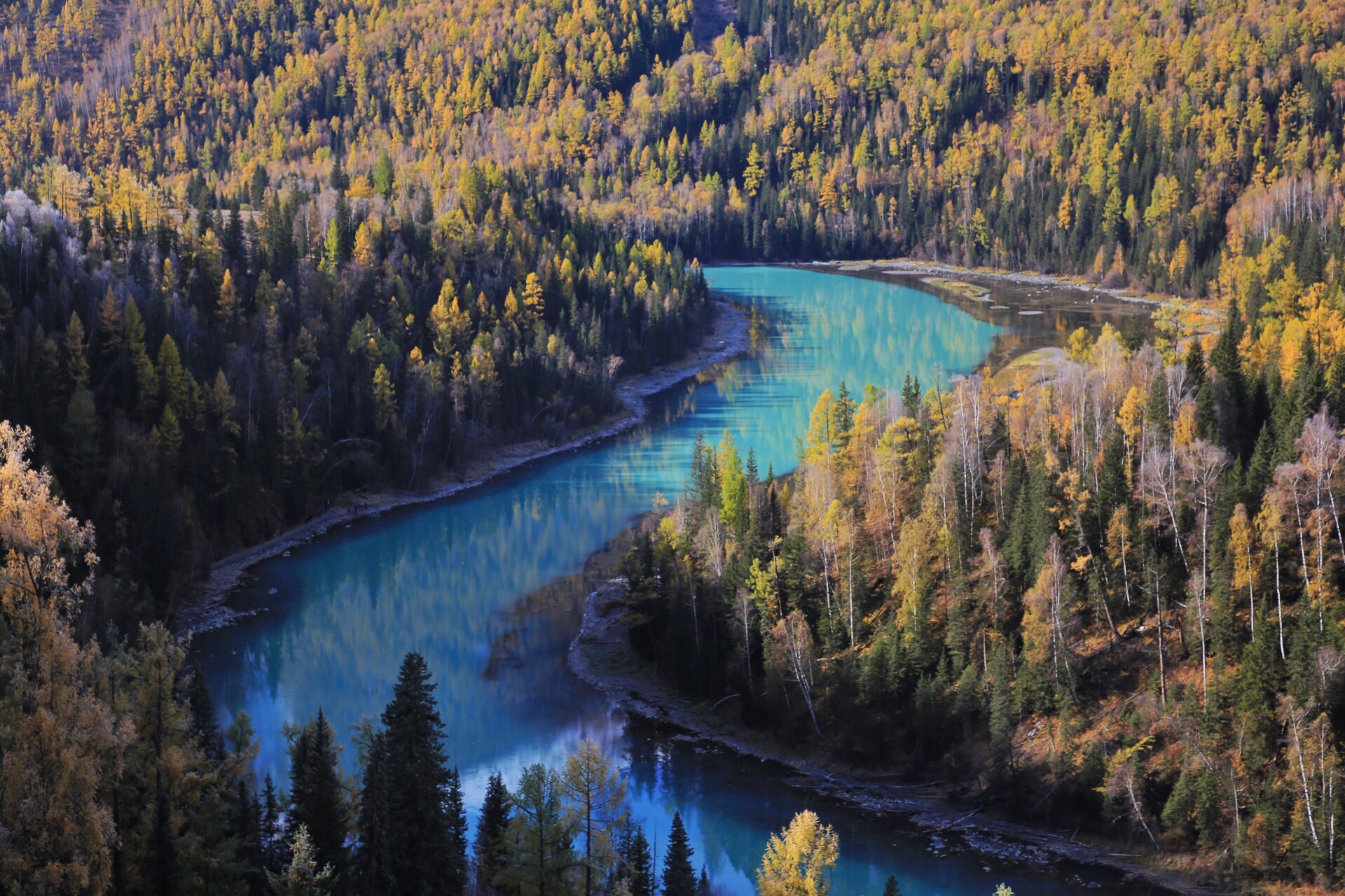 【定制游】探访中国最美秋天 金色北疆漫游7日