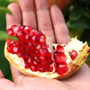 会理突尼斯软籽石榴   5-8斤装 商品缩略图9