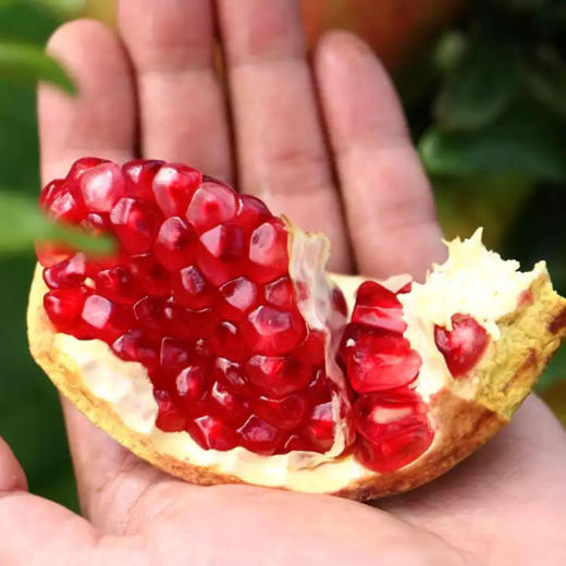 会理突尼斯软籽石榴   5-8斤装 商品图9