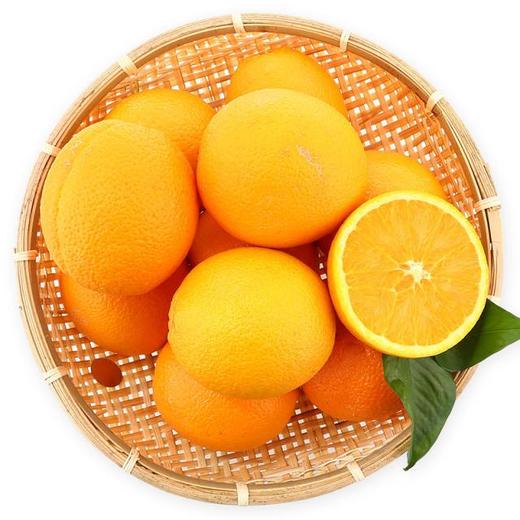 澳橙|一箱10斤左右 商品图0