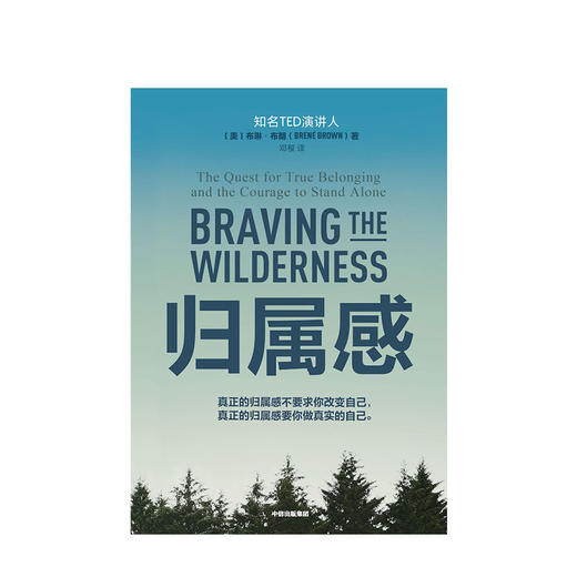 归属感 布琳布朗 著 TED演讲人 简里里作序 王建一推荐 自我挖掘 孤独与归属 中信出版社图书 正版书籍 商品图2