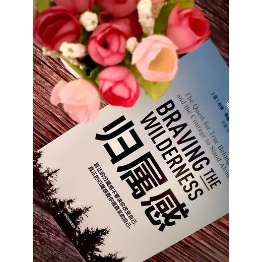 归属感 布琳布朗 著 TED演讲人 简里里作序 王建一推荐 自我挖掘 孤独与归属 中信出版社图书 正版书籍 商品图5