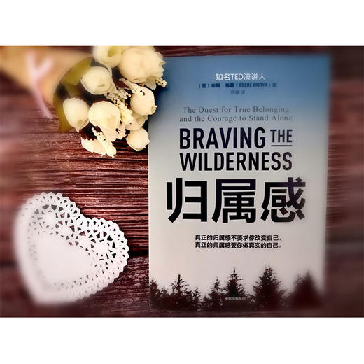 归属感 布琳布朗 著 TED演讲人 简里里作序 王建一推荐 自我挖掘 孤独与归属 中信出版社图书 正版书籍 商品图7