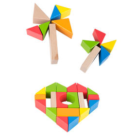 德国(Hape)40粒积木儿童玩具进口榉木拼装拼搭婴幼儿童早教启蒙 1岁+ E8321 儿童玩具男孩女孩生日礼物