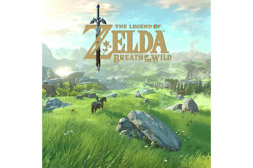 【共享租借】任天堂Switch游戏卡塞尔达游戏卡 商品图1
