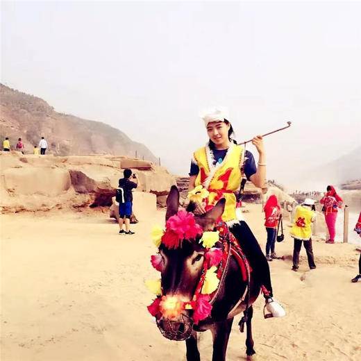 五一4天【华山西安 立减100元】平遥古城-壶口瀑布-秦始皇兵马俑-西安古城-登华山 商品图6