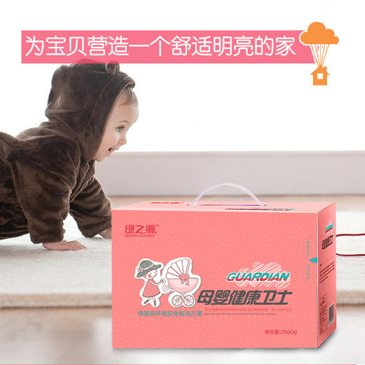 绿之源 2600g母婴健康卫士活性炭包车用吸去除甲醛清除剂竹炭包孕妇儿童急入住家用除臭去异味除味剂防潮碳包 商品图2