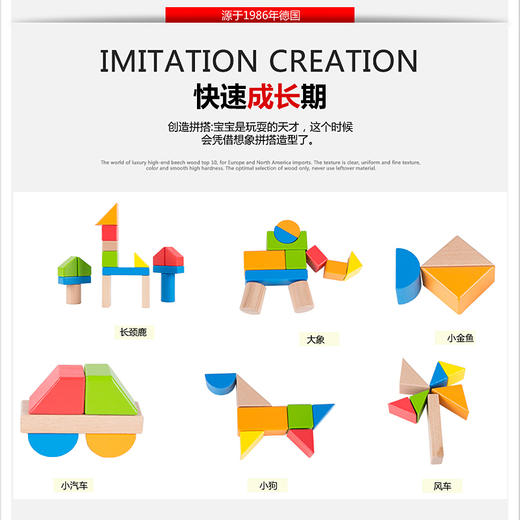 德国(Hape)40粒积木儿童玩具进口榉木拼装拼搭婴幼儿童早教启蒙 1岁+ E8321 儿童玩具男孩女孩生日礼物 商品图1