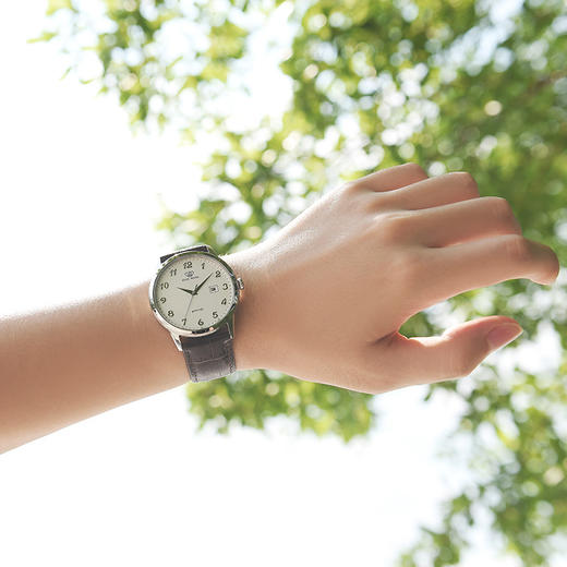 天王表(TIANWANG)手表 沧海系列皮带石英商务男士手表情侣表白色GS3886S/D-A 商品图3