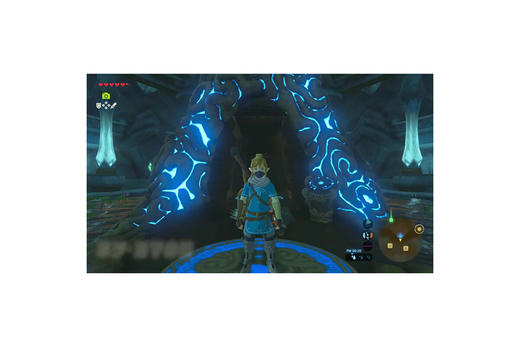 【共享租借】任天堂Switch游戏卡塞尔达游戏卡 商品图2