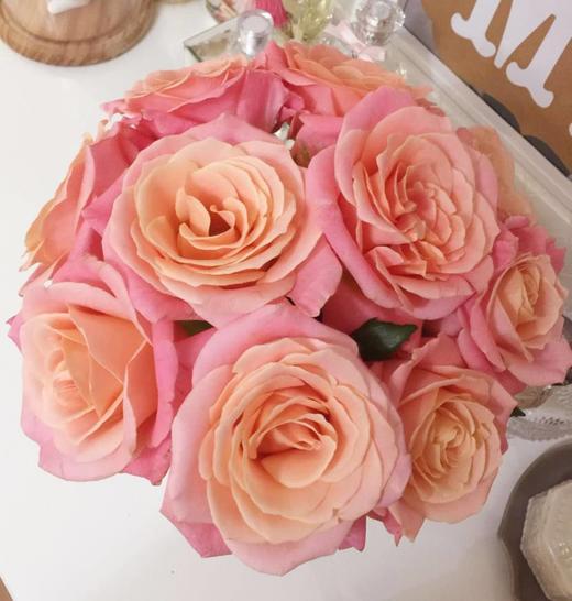 【昆明玫瑰】猪猪小姐，20枝/扎，A级 商品图1