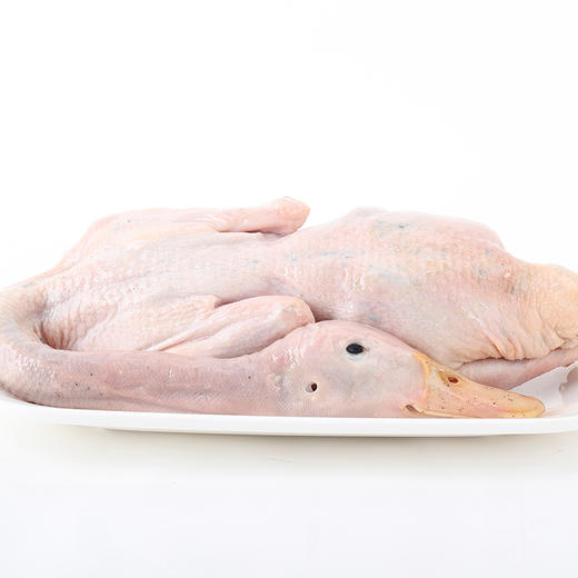 木鸭(现杀) 商品图0