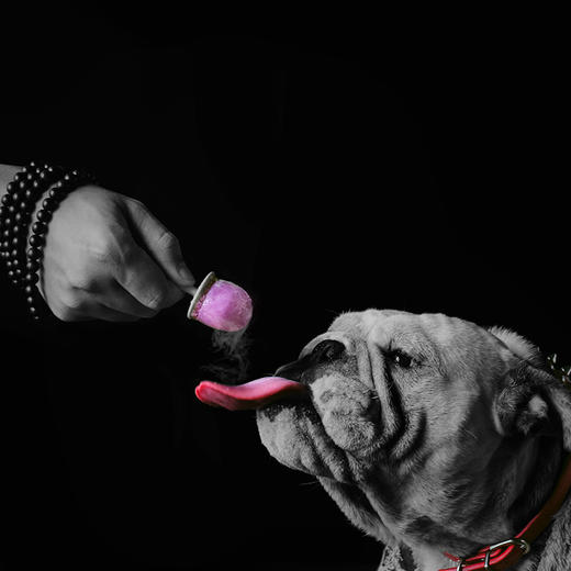 尾巴先生犬猫降温消暑棒冰粉 商品图2