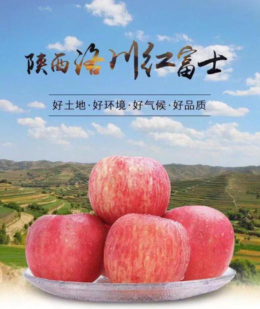 洛川苹果陕西高山水晶红富士