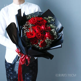 19朵红玫瑰满天星花束