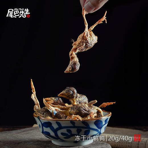 尾巴先生犬猫冻干鹌鹑 商品图1