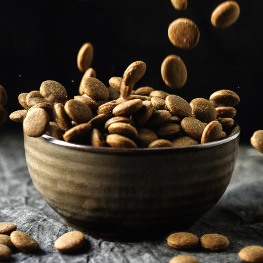 尾巴先生 大型犬鸡肉味纯成犬粮 2.5KG 商品图1