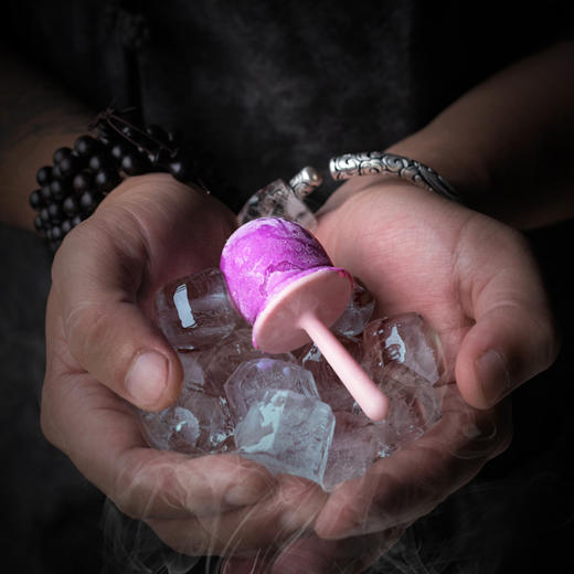 尾巴先生犬猫降温消暑棒冰粉 商品图1