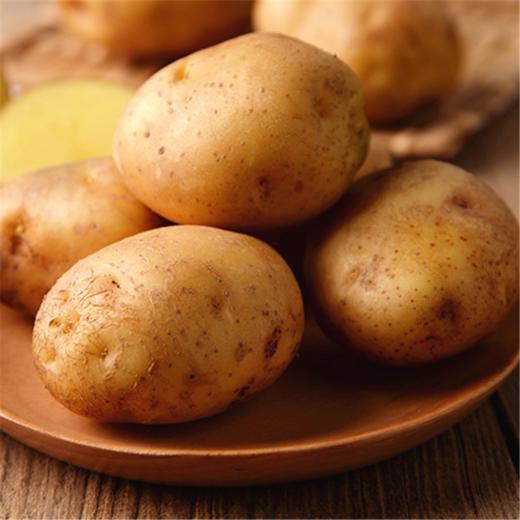 硒土地里出来的恩施土豆 小身材满满都是小时候的味道 商品图5