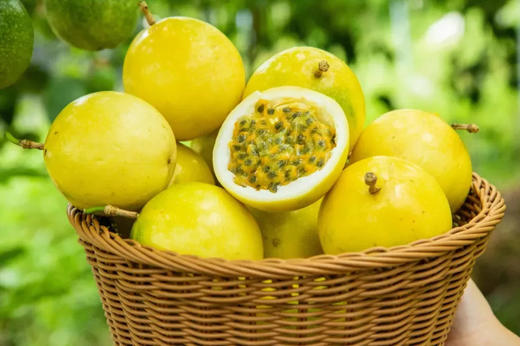 黄金百香果500g 商品图1