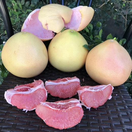 9797【金智优选】平和琯溪蜜柚 - 金智生活