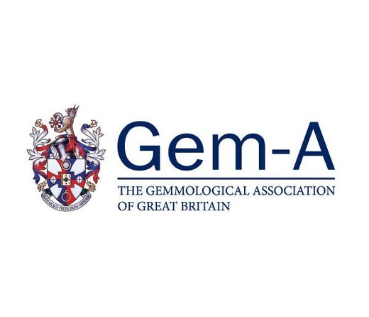 FGA证书班 商品图0