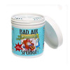 【一般贸易】美国百思帮Bad Air Sponge 空气净化剂 400g 去异味 除甲醛 新家新车办公室必备 商品缩略图0